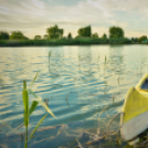 VII. Bor és laskafesztivál - 02