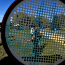 Több száz résztvevő a Városi Sportnapon