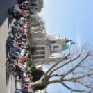 Magyar költészet napja