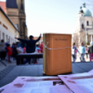 Magyar költészet napja