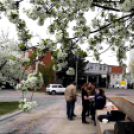 Katasztrófavédelmi ifjúsági verseny