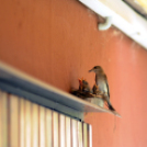 Egy halkonzervnyi gondoskodás