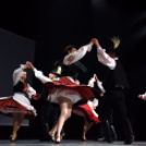 Tánc világnapja Cegléden