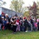 Elefántok érkeztek a Vörösmarty térre