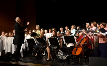 Palatinus tanárnőre emlékeztek