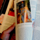 Könyvbemutató: Zöldellő egyház