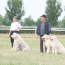 IX. Bor és Laskafesztivál - IV. Ceglédi Vágta