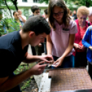 Augusztus 20 Cegléden 