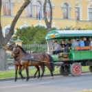 Szerenádoztak a gimisek