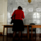 Pedagógus kamarai tájékozataó