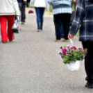 Anyák napi virágvásár és Anyám tyúkja főzőverseny