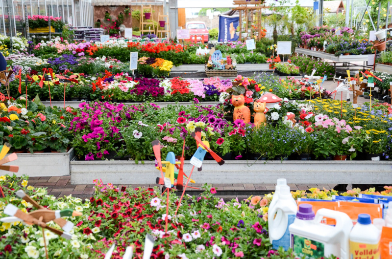 Oázis Kertészeti Áruház