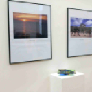 Dánia magyar szemmel