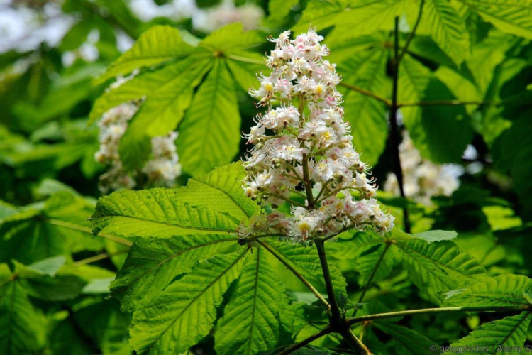 LAKOSSÁGI TÁJÉKOZTATÁS