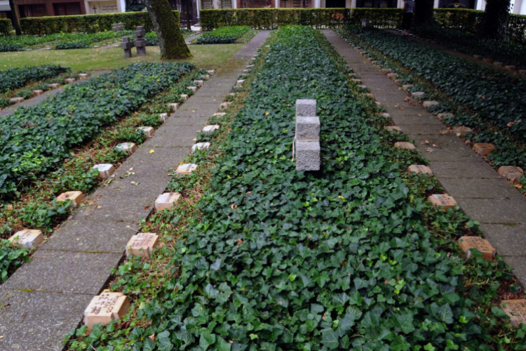 Messze a hazától...