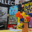 Pályaválasztási kiállítás