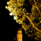 Orgonakoncert a ceglédi Evangélikus Templomban