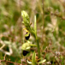 Karanténséta a Gerje parton