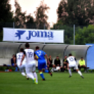 Ceglédi VSE - Vác 1-0