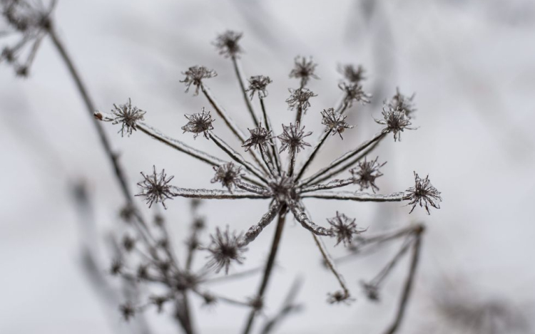 Ráfázunk az enyhe időjárásra