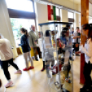 Olimpikonok kiállítás