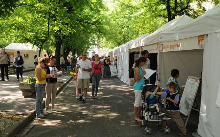 A ceglédiek bizonyítottak: 4 millió forint az új ultrahangra