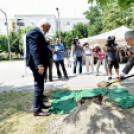 Kosárlabdacsarnok alapkőletétel 