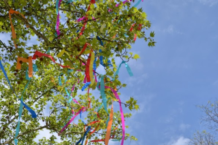 A város májusfája II.