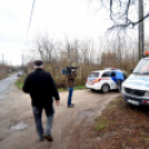 Megérkezett a város karácsonyfája