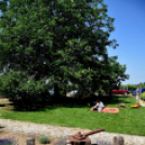 XIII. Nyitott Pince Nap