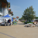 Bor és laskafesztivál - I