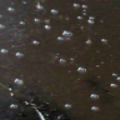 Telefonfotók - Ceglédi hangulatok