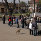 Tüntetés Cegléden