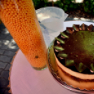 Cegléden is felvágták az Ország Tortáját