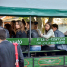 Szerenádoztak a gimisek