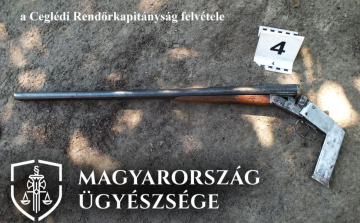 A kutya helyett a gazdáját találta el