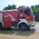 Bor és laskafesztivál - I