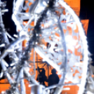 Advent harmadik vasárnapja