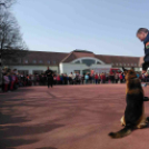 ,,Pindur-Pandúr'' - Közlekedésbiztonsági vetélkedő a Táncsicsban