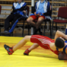 Birkózó Diákolimpia Országos Döntő