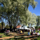 Virágvásár és főzőfesztivál Csemőben