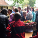 Szebb, virágosabb Ceglédért