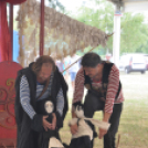 Bor és laskafesztivál - I