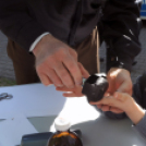 Nyílt nap a ceglédi rendőrségen