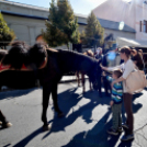 Régi Idők Piacztere az Eötvös téren