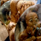 Kiállítás a Gimiben