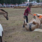 A lovak nyelvén – Hamza Viktória