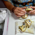 Múzeumok Éjszakája