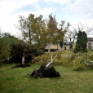 Októberi orkán Cegléden