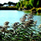 Éhmann Ferenc Horgászverseny